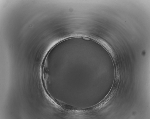 X0000095510958200712211237