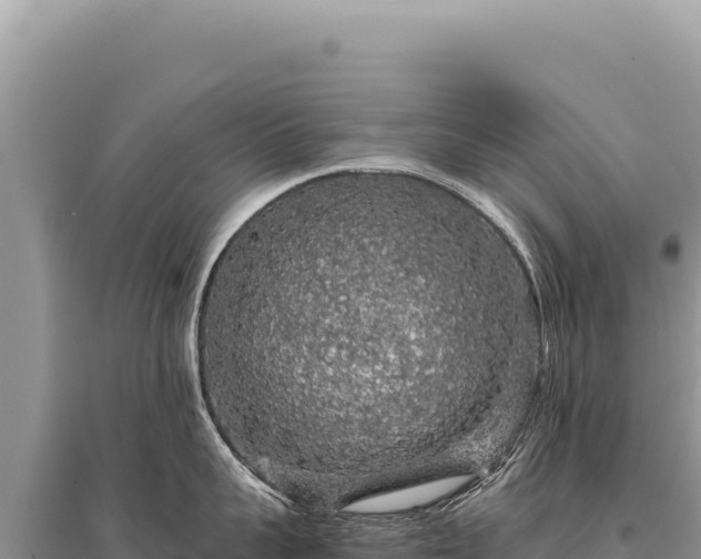 X0000095510959200712211237