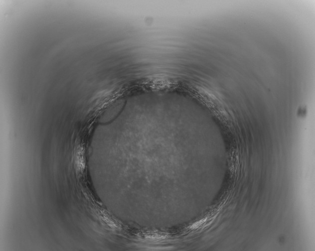 X0000095510962200712211236