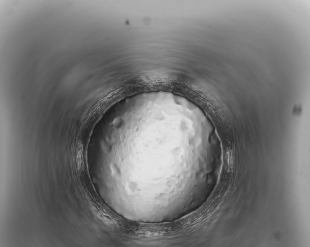 X0000095510963200712211236