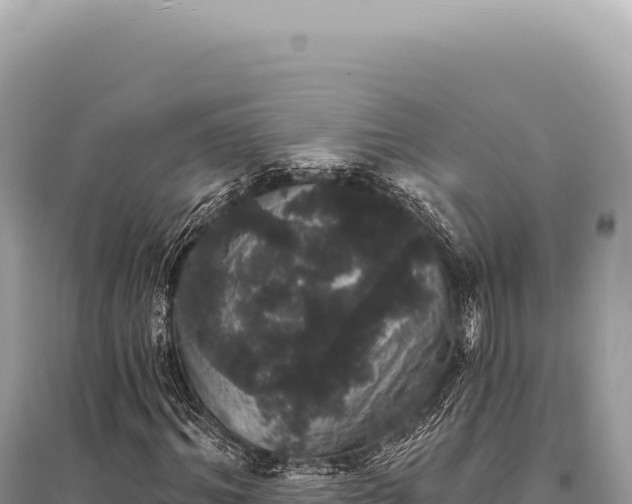 X0000095510964200712211236