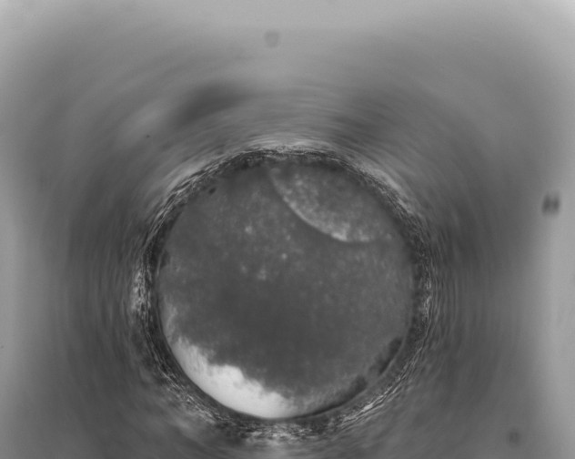 X0000095510966200712211236