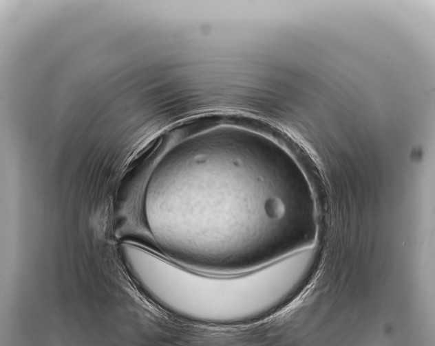 X0000095510969200712211236