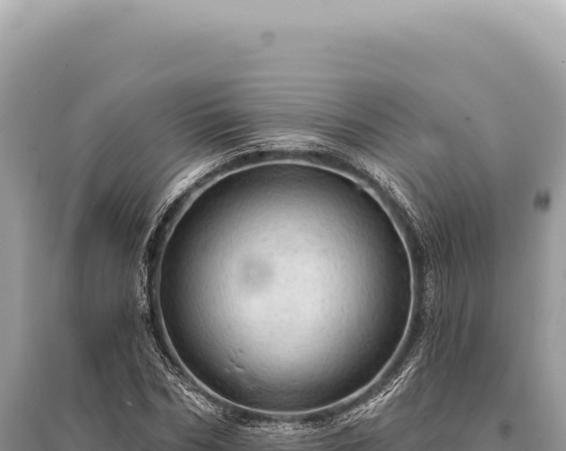 X0000095510970200712211236