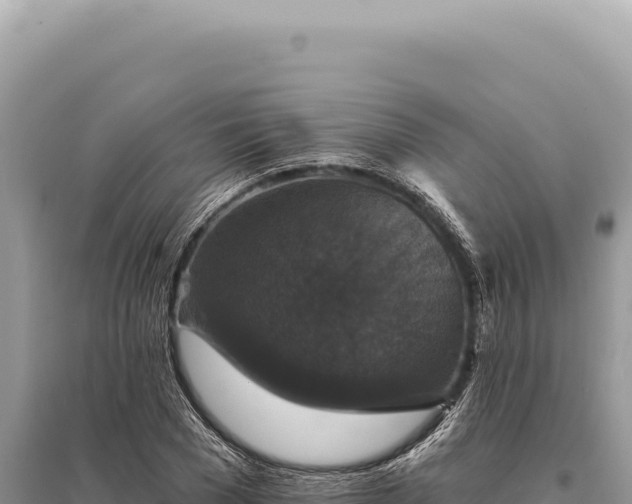 X0000095510977200712211236