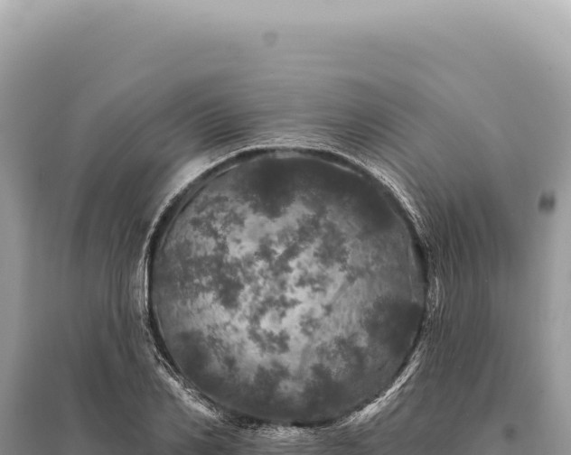 X0000095510982200712211236