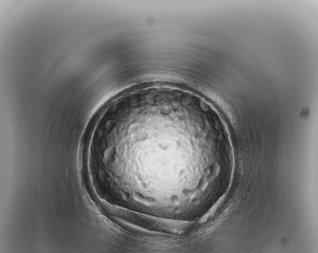 X0000095510983200712211236