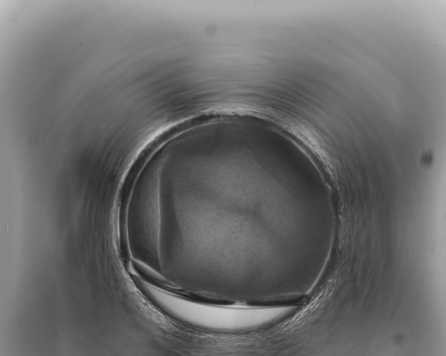 X0000095510984200712211236