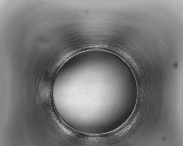 X0000095510985200712211236