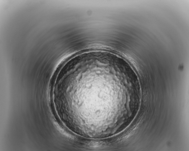 X0000095510987200712211236