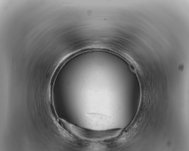 X0000095510988200712211236