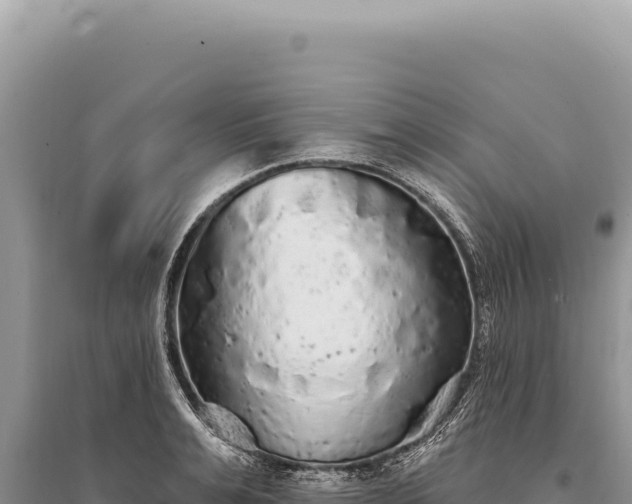 X0000095510991200712211236