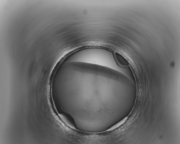 X0000095510992200712211236