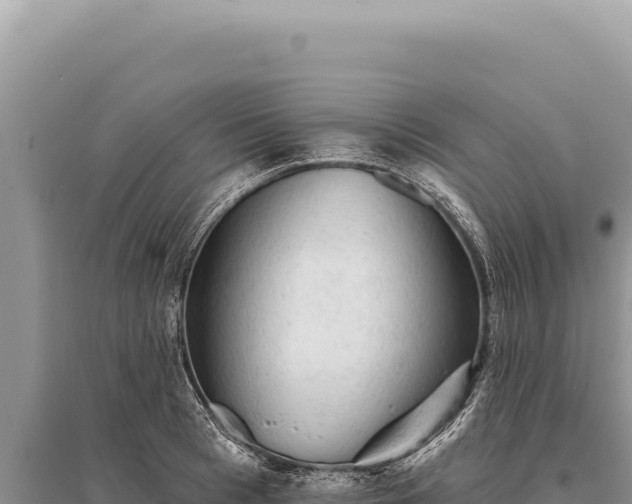 X0000095510993200712211236