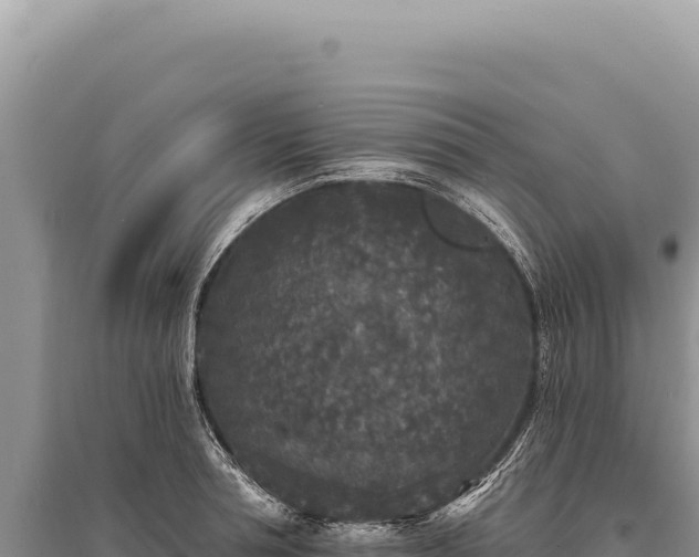 X0000095510994200712211236