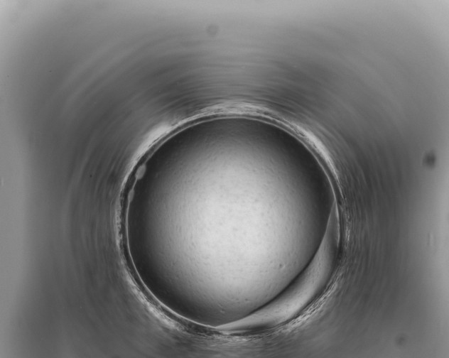X0000095510997200712211236