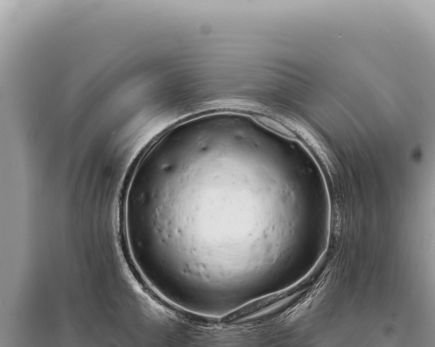 X0000095510999200712211236