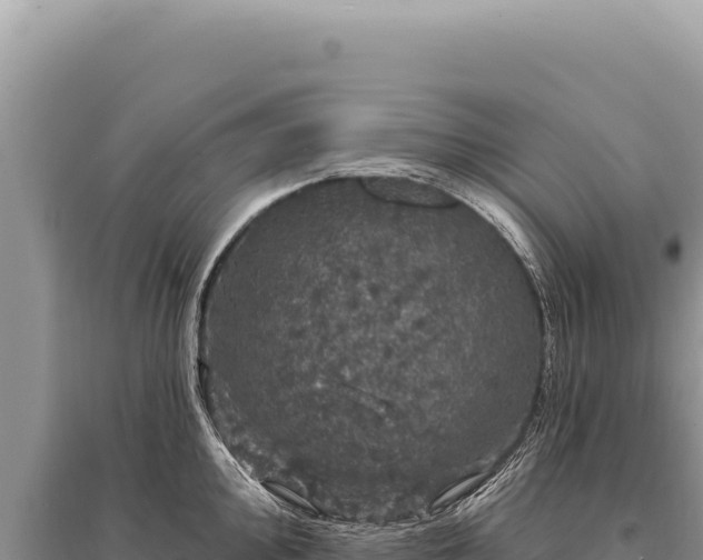X0000095511000200712211236