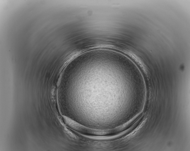 X0000095511001200712211236