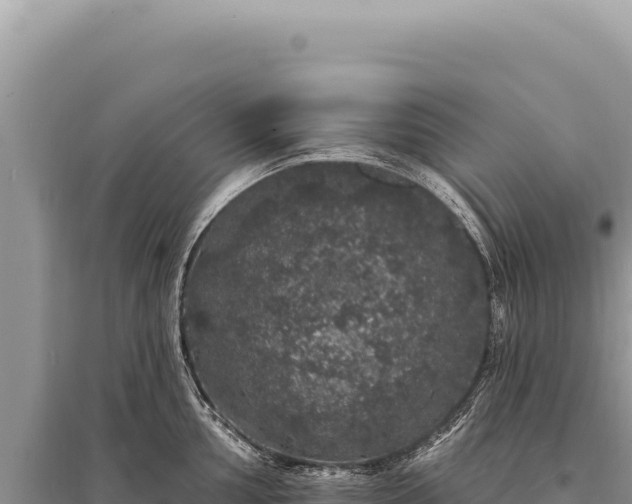 X0000095511002200712211236
