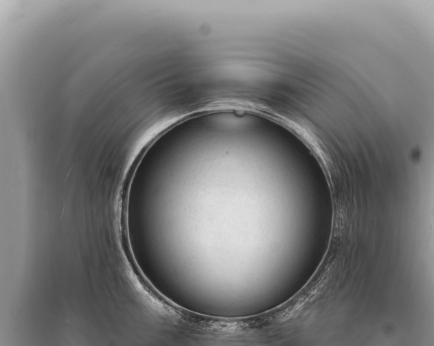 X0000095511003200712211236