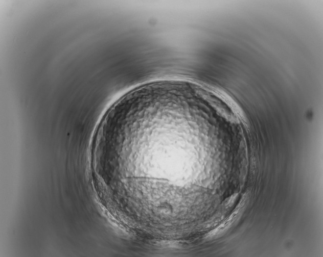 X0000095511004200712211236