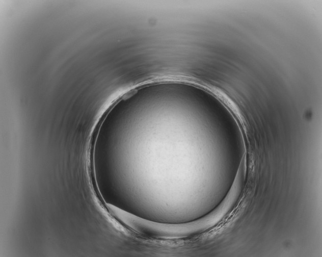 X0000095511005200712211236