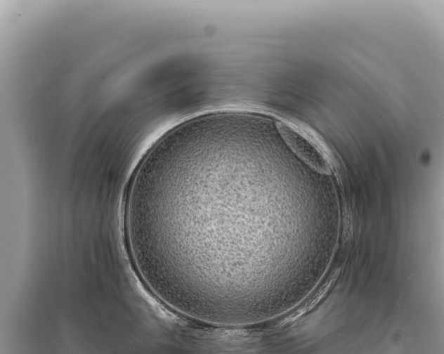 X0000095511006200712211236