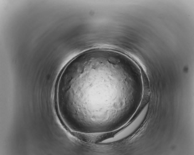 X0000095511007200712211236