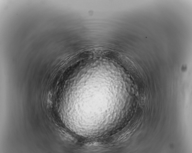 X0000095511010200712211235