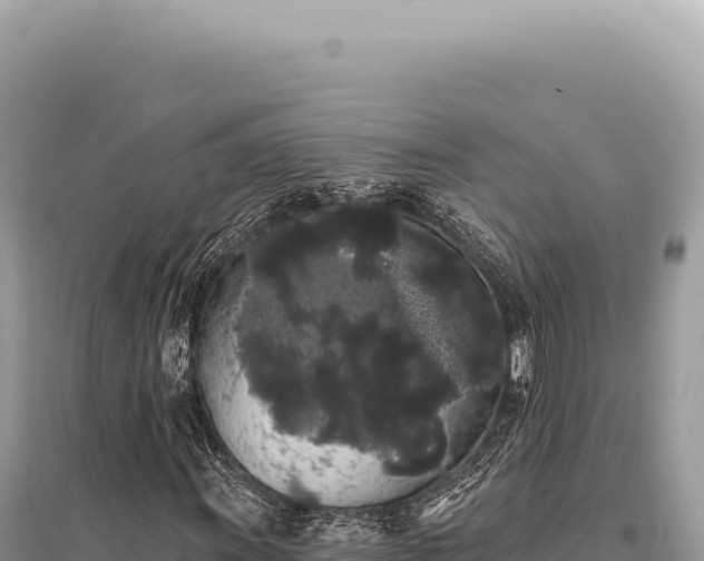 X0000095511011200712211235