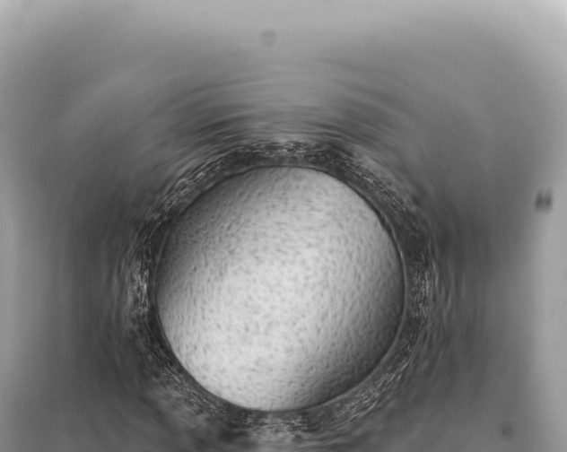X0000095511013200712211235
