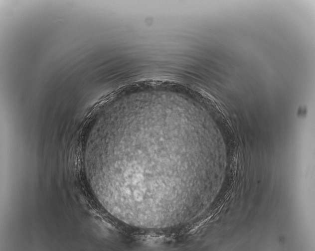 X0000095511014200712211235