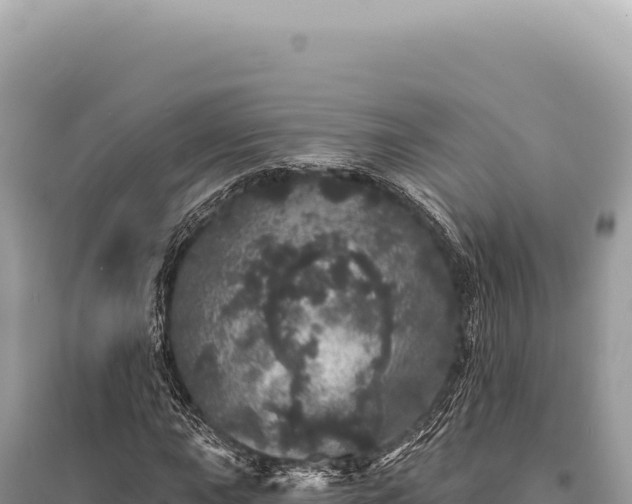 X0000095511015200712211235