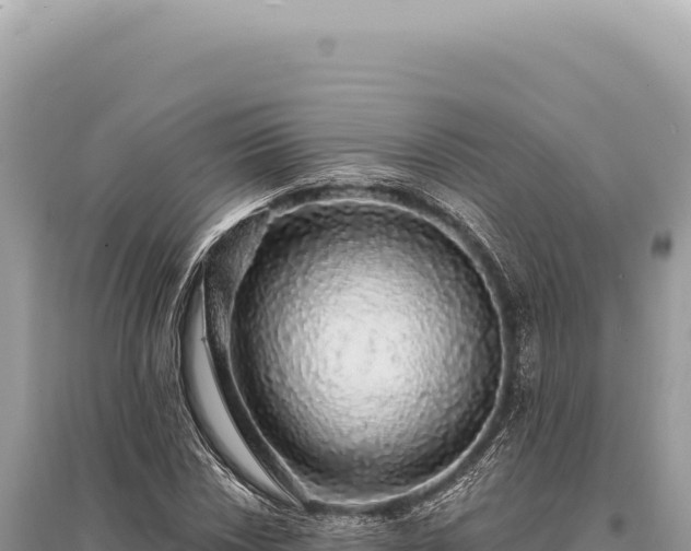 X0000095511018200712211235