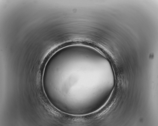 X0000095511021200712211235