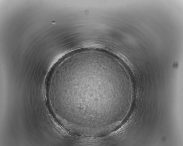 X0000095511022200712211235