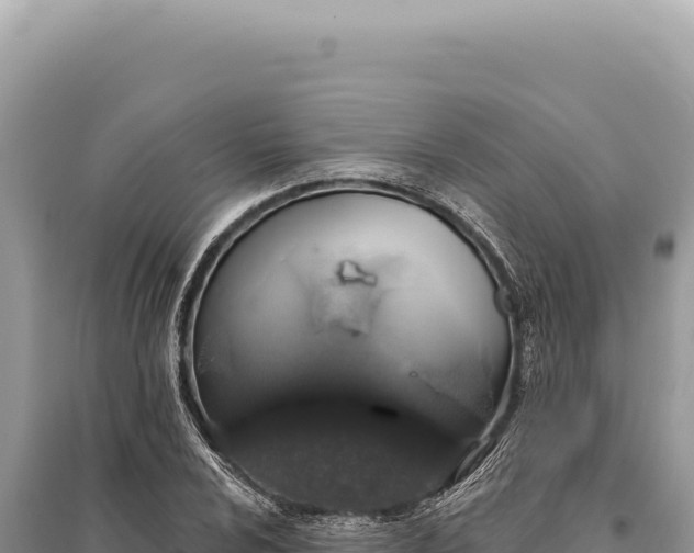 X0000095511024200712211235