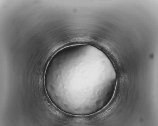 X0000095511025200712211235