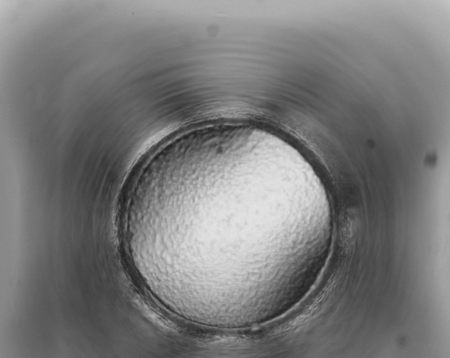 X0000095511026200712211235