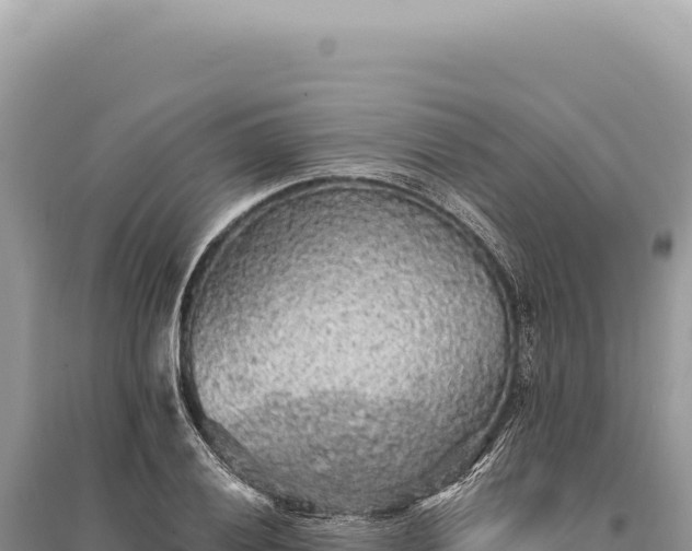 X0000095511028200712211235