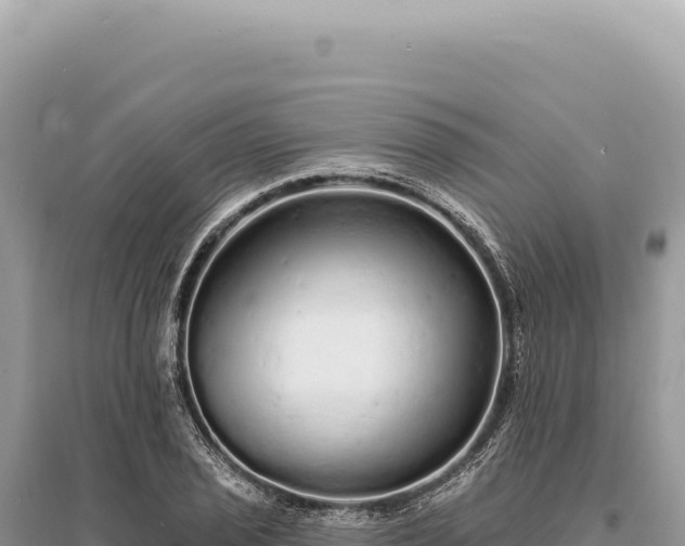 X0000095511029200712211235