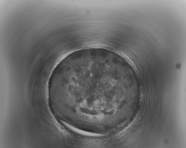 X0000095511031200712211235