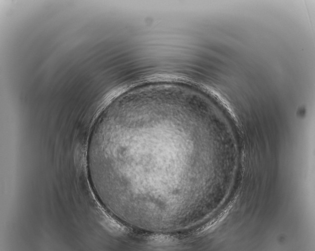 X0000095511033200712211235
