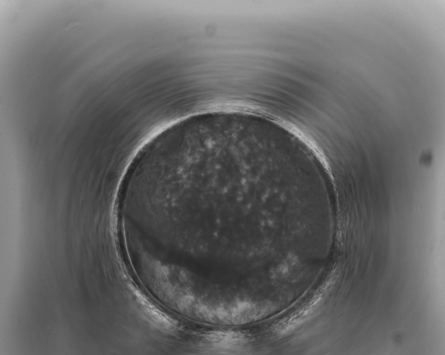 X0000095511037200712211235
