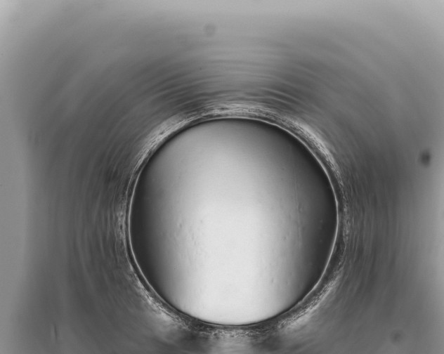 X0000095511041200712211235