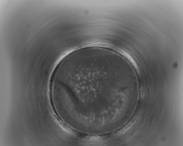 X0000095511043200712211235