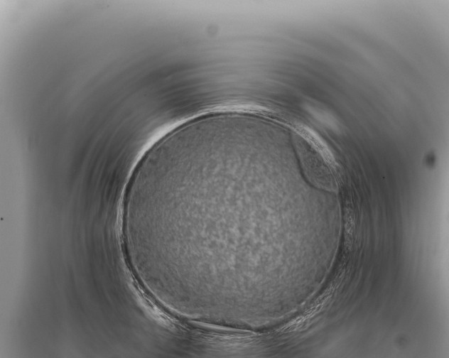 X0000095511044200712211235