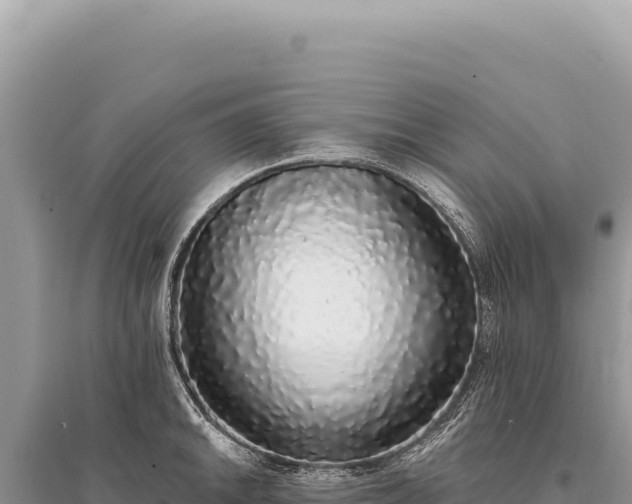 X0000095511046200712211235