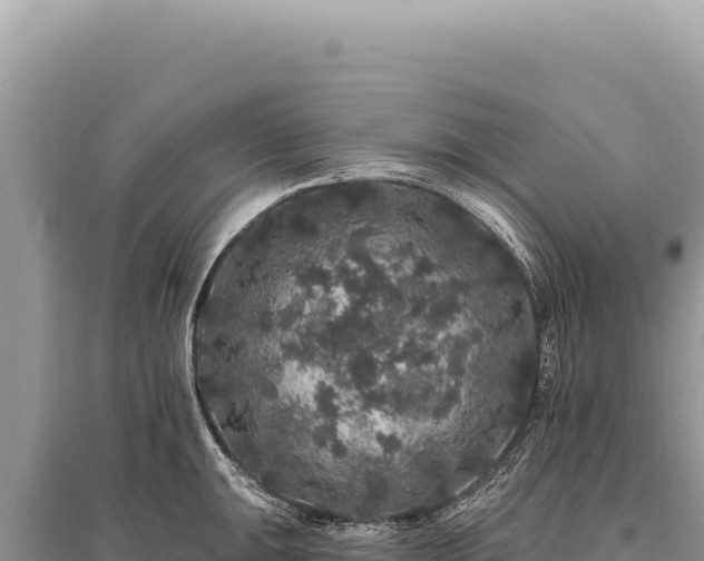X0000095511047200712211235